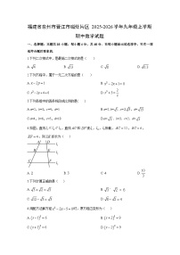 福建省泉州市晋江市磁灶片区2025-2026学年九年级上学期期中 数学试卷（学生版）