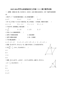 2025-2026学年山西省临汾市九年级（上）期中数学试卷-自定义类型