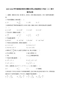 2025-2026学年湖南省株洲市醴陵市栗山坝镇联校八年级（上）期中数学试卷-自定义类型
