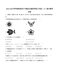 2025-2026学年青海省西宁市城北区朝阳学校九年级（上）期中数学试卷-自定义类型
