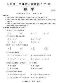 河南省安阳市林州市2025-2026学年八年级上学期12月月考数学试卷(B卷)
