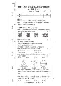 河南省驻马店市汝南县汝南县双语学校、清华园学校2025-2026学年九年级上学期12月月考数学试题
