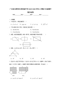 广东省东莞市长安实验中学2025-2026学年上学期八年级期中数学试卷