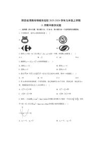 陕西省渭南市韩城市名校2025-2026学年九年级上学期11月期中数学试卷（学生版）