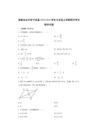 湖南省永州市宁远县2025-2026学年九年级上学期期中考试数学试卷(学生版)