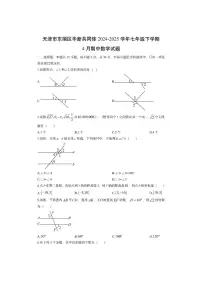 天津市东丽区华新共同体2024-2025学年七年级下学期4月期中数学试卷（学生版）