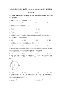 江苏省苏州市苏州高新区2025-2026学年九年级上学期期中数学试卷（学生版）