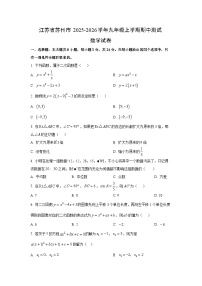 江苏省苏州市2025-2026学年九年级上学期期中测试数学试卷（学生版）