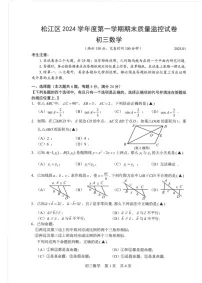 上海市松江区2024—2025学年上学期期末质量监控九年级数学试卷