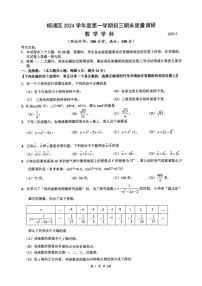 上海市杨浦区2024-2025学年九年级上学期期末考试数学试卷(一模)