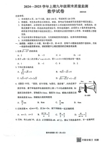四川省眉山市东坡区2024—2025学年上学期九年级数学期末测试卷