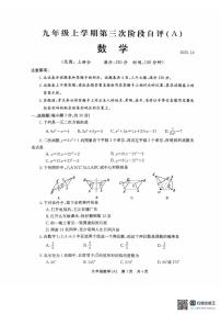河南省 安阳市林州市2025--2026学年九年级上学期第三次阶段自评数学A卷（月考）