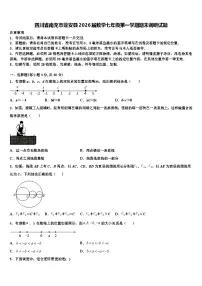 四川省南充市蓬安县2026届数学七年级第一学期期末调研试题含解析