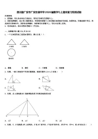 四川省广安市广安友谊中学2026届数学七上期末复习检测试题含解析