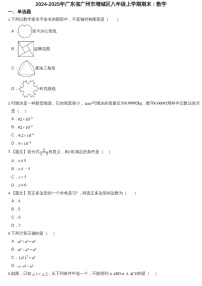 2024-2025年广东省广州市增城区八年级上学期期末数学试卷（含答案）