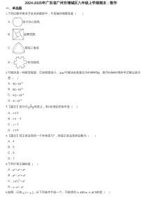 2024-2025年广东省广州市增城区八年级上学期期末数学试卷（含答案）