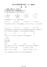 2025北京清华附中初三（上）统练九数学（教师版）试卷