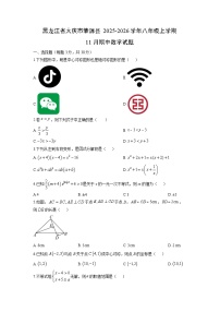 黑龙江省大庆市肇源县2025-2026学年八年级上学期11月期中数学试卷（学生版）