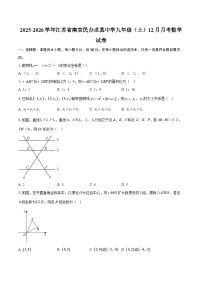 2025-2026学年江苏省南京民办求真中学九年级（上）12月月考数学试卷-自定义类型