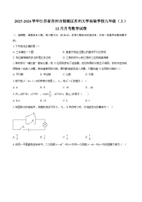 2025-2026学年江苏省苏州市相城区苏州大学实验学校九年级（上）12月月考数学试卷-自定义类型