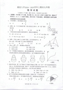 重庆市第八中学2024-2025学年九年级上学期期末试卷数学试题
