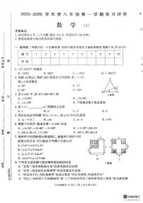 河南省南阳市唐河县2025-2026学年八年级上学期12月月考数学试题