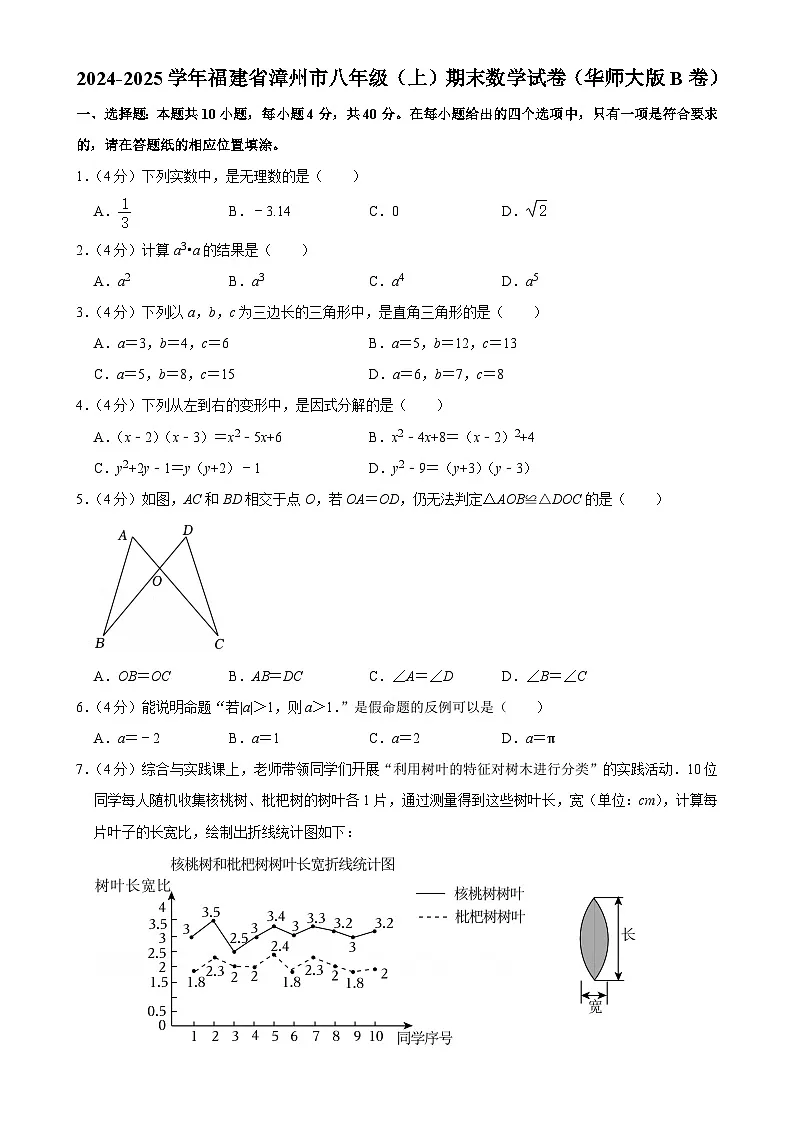 福建省漳州市八年级上学期期末教学质量检测数学试题(华东师大版B卷)-A4第1页