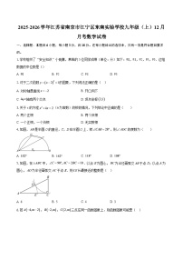 2025-2026学年江苏省南京市江宁区东南实验学校九年级（上）12月月考数学试卷-自定义类型