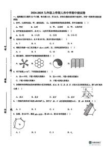 2024－2025学年第一学期邯郸市人和中学九年级数学期中试卷