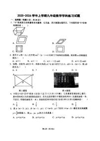 河南省郑州市枫杨外国语、金水区外国语、朗悦慧外国语等5校联考2025-2026学年上学期九年级第二次月考数学试题