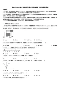 宜宾市2026届七年级数学第一学期期末复习检测模拟试题含解析
