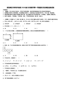新疆昌吉市教育共同体2026届七年级数学第一学期期末质量跟踪监视试题含解析