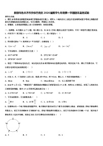 新疆乌鲁木齐市沙依巴克区2026届数学七年级第一学期期末监测试题含解析