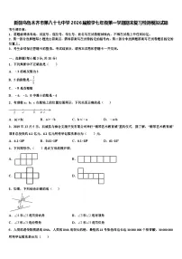 新疆乌鲁木齐市第八十七中学2026届数学七年级第一学期期末复习检测模拟试题含解析