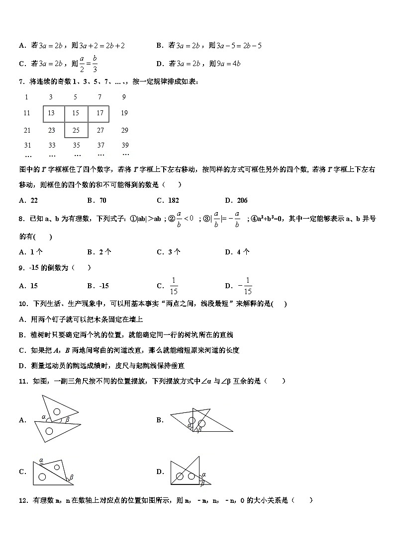 新疆维吾尔自治区第二师三十团中学2026届数学七上期末质量跟踪监视试题含解析第2页