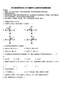浙江省杭州市滨江区2026届数学七上期末综合测试模拟试题含解析