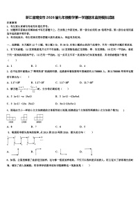 浙江省瑞安市2026届七年级数学第一学期期末监测模拟试题含解析