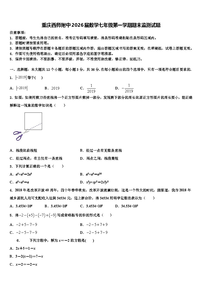 重庆西师附中2026届数学七年级第一学期期末监测试题含解析第1页