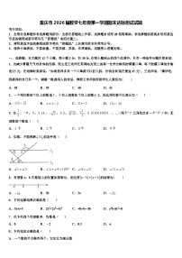 重庆市2026届数学七年级第一学期期末达标测试试题含解析