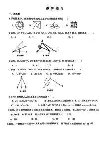 河北省石家庄市第二十八中学2025-2026学年八年级上学期12月月考数学试题