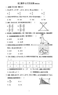 2025北京潞河中学初三上12月月考数学试卷