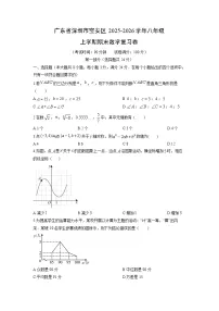 广东省深圳市宝安区2025-2026学年八年级上学期期末复习卷数学试卷（学生版）