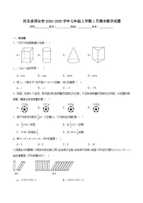河北省邢台市2024-2025学年七年级上学期1月期末考试数学试卷(含解析)