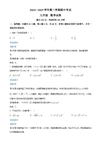 福建省福州市金山中学2024—2025学年下学期九年级期中考试数学试卷（解析版）-A4
