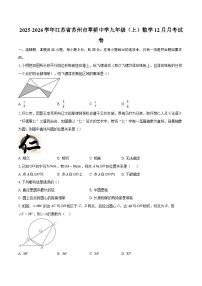 2025-2026学年江苏省苏州市草桥中学九年级（上）数学12月月考试卷-自定义类型