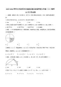2025-2026学年江苏省苏州市高新区新区实验学校九年级（上）数学12月月考试卷-自定义类型