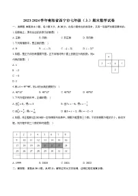 青海省西宁市2023-2024学年七年级上学期期末考试数学试卷(含解析)
