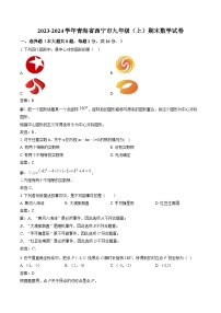 青海省西宁市2024届九年级上学期期末考试数学试卷(含解析)