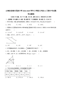曲靖市民族中学2025届九年级上学期期中考试数学试卷(含解析)