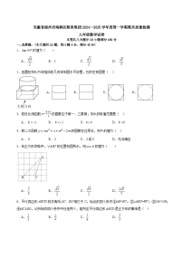 安徽省宿州市埇桥区教育集团2024—2025学年度第一学期期末质量检测九年级数学试卷